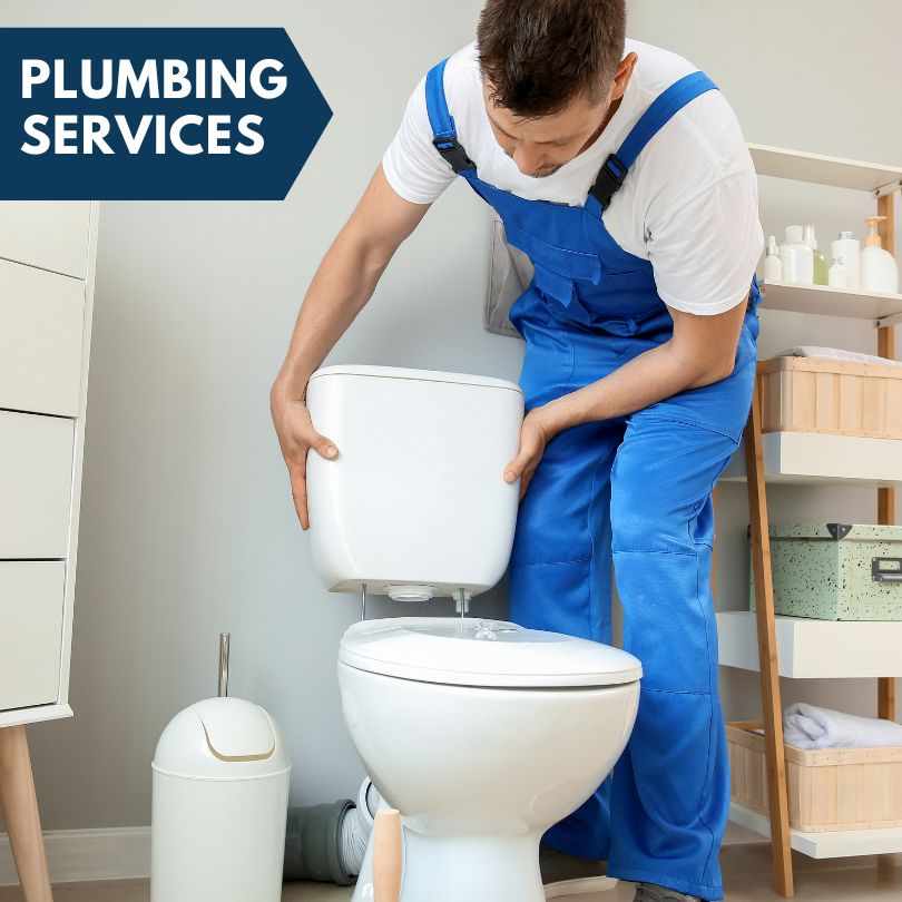 Plumbing Company in Williston, OH